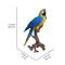 Show in main carousel: Hi-Line Gift 28.25-in Blue & Yellow Macaw Statue Outdoor Decor slide 6 of 6