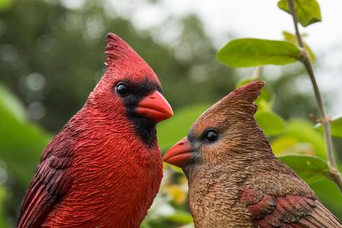 Show full view: Hi-Line Gift 6.1-in Cardinal Couple On Stump Garden Statue Outdoor Decor slide 6 of 7