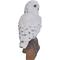 Show in main carousel: Hi-Line Gift 13-in Snowy Owl On Stump Outdoor Decor slide 4 of 5