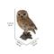 Show in main carousel: Hi-Line Gift 6-in Brown Owl On Stump Outdoor Decor slide 8 of 8