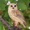 Show in main carousel: Hi-Line Gift 6.75-in Screech Owl On Stump Outdoor Decor slide 1 of 8