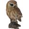 Show in main carousel: Hi-Line Gift 6-in Brown Owl On Stump Outdoor Decor slide 3 of 8