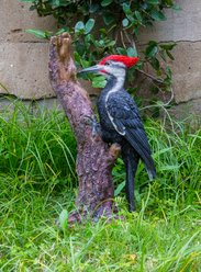 Hi-Line Gift 15.55-in Pileated Woodpecker On A Tree Trunk Garden Statue Outdoor Decor