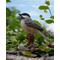 Show in main carousel: Hi-Line Gift 5.43-in Chickadee Peeking On Stump Garden Statue Outdoor Decor slide 1 of 7