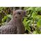 Show in main carousel: Hi-Line Gift 3.35-in Mourning Dove On Grass Garden Statue Outdoor Decor slide 6 of 7
