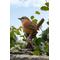 Show in main carousel: Hi-Line Gift 4.92-in Carolina Wren On Stump Garden Statue Outdoor Decor slide 1 of 7