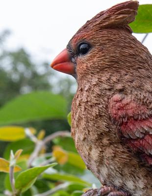 Show full view: Hi-Line Gift 5.98-in Female Cardinal Resting On Stump Garden Statue Outdoor Decor slide 6 of 7