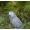 Show in main carousel: Hi-Line Gift 15.04-in Grey Gabon Parrot On Stump Outdoor Decor slide 7 of 10