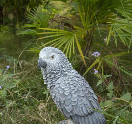Show full view: Hi-Line Gift 15.04-in Grey Gabon Parrot On Stump Outdoor Decor slide 7 of 10