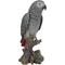 Show in main carousel: Hi-Line Gift 15.04-in Grey Gabon Parrot On Stump Outdoor Decor slide 5 of 10