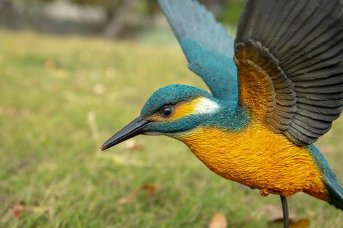 Show full view: Hi-Line Gift 11.02-in Flying-off Kingfisher Statue Outdoor Decor slide 6 of 8