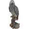 Show in main carousel: Hi-Line Gift 15.04-in Grey Gabon Parrot On Stump Outdoor Decor slide 2 of 10
