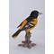 Show in main carousel: Hi-Line Gift 7-in Oriole On Branch Statue Outdoor Decor slide 6 of 8