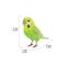 Show in main carousel: Hi-Line Gift 5.24-in Green Budgerigar with Iron Foot Statue Outdoor Decor slide 8 of 8