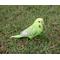 Show in main carousel: Hi-Line Gift 5.24-in Green Budgerigar with Iron Foot Statue Outdoor Decor slide 1 of 8