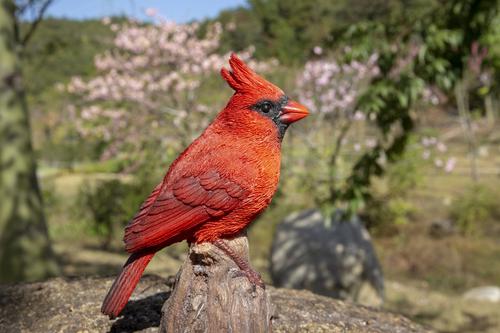Show full view: Hi-Line Gift 6.69-in Motion Activated Singing Cardinal Standing On Stump Outdoor Decor slide 6 of 8