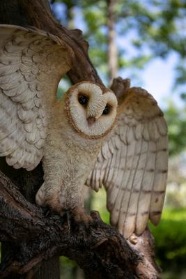 Show full view: Hi-Line Gift 15.16-in Flying Barn Owl Wall Plaque Outdoor Decor slide 6 of 8