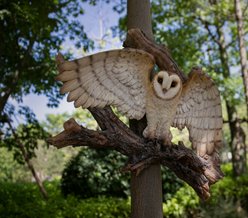 Hi-Line Gift 15.16-in Flying Barn Owl Wall Plaque Outdoor Decor