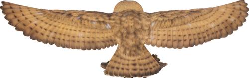 Show full view: Hi-Line Gift 9.06-in Barn Owl Flying Statue Outdoor Decor slide 4 of 8