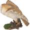 Show in main carousel: Hi-Line Gift 9.06-in Barn Owl Flying Statue Outdoor Decor slide 3 of 8