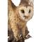 Show in main carousel: Hi-Line Gift 17.52-in Barn Owl On Stump with Open Wings Outdoor Decor slide 6 of 6