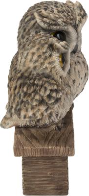 Show full view: Hi-Line Gift 6.3-in Mother & Baby Owl Welcome Sign Outdoor Decor slide 5 of 8