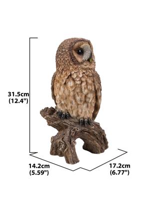 Show full view: Hi-Line Gift 12.4-in Brown Owl On Stump Outdoor Decor slide 6 of 7