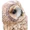 Show in main carousel: Hi-Line Gift 12.4-in Brown Owl On Stump Outdoor Decor slide 7 of 7