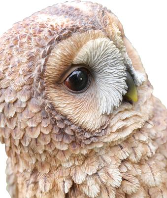 Show full view: Hi-Line Gift 12.4-in Brown Owl On Stump Outdoor Decor slide 7 of 7