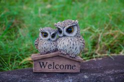 Hi-Line Gift 6.3-in Mother & Baby Owl Welcome Sign Outdoor Decor