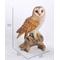 Show in main carousel: Hi-Line Gift 14-in Barn Owl On Branch Statue Outdoor Decor slide 6 of 6