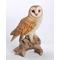 Show in main carousel: Hi-Line Gift 14-in Barn Owl On Branch Statue Outdoor Decor slide 2 of 6