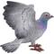 Show in main carousel: Hi-Line Gift 9.25-in Grey Pigeon with Coloured Neck Statue Outdoor Decor slide 4 of 7