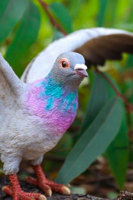 Show full view: Hi-Line Gift 9.25-in Grey Pigeon with Coloured Neck Statue Outdoor Decor slide 6 of 7