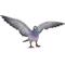 Show in main carousel: Hi-Line Gift 9.25-in Grey Pigeon with Coloured Neck Statue Outdoor Decor slide 2 of 7