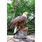 Show in main carousel: Hi-Line Gift 8.27-in Motion Activated Singing Eagle Outdoor Decor slide 8 of 9