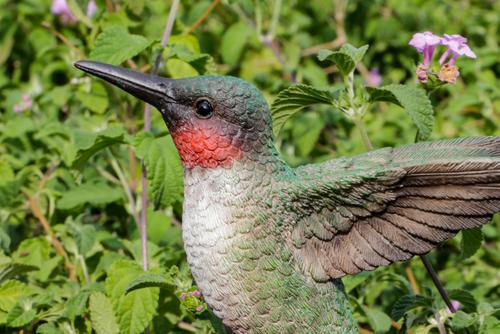 Show full view: Hi-Line Gift 5.91-in Motion Activated Singing Hummingbird On Foxglove Outdoor Decor slide 5 of 9