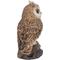 Show in main carousel: Hi-Line Gift 6.42-in Motion Activated Singing Long Eared Owlet Standing On Stump Outdoor Decor slide 2 of 8