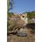 Show in main carousel: Hi-Line Gift 6.42-in Motion Activated Singing Long Eared Owlet Standing On Stump Outdoor Decor slide 1 of 8