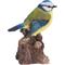 Show in main carousel: Hi-Line Gift 5.31-in Motion Activated Singing Bird Blue Tit On Stump Outdoor Decor slide 5 of 8