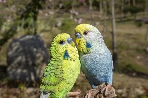 Show full view: Hi-Line Gift 6.97-in Motion Activated Singing Couple Budgerigar On Stump Outdoor Decor slide 6 of 8