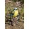 Show in main carousel: Hi-Line Gift 5.31-in Motion Activated Singing Bird Blue Tit On Stump Outdoor Decor slide 1 of 8