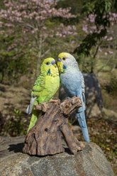Hi-Line Gift 6.97-in Motion Activated Singing Couple Budgerigar On Stump Outdoor Decor