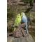 Show in main carousel: Hi-Line Gift 6.97-in Motion Activated Singing Couple Budgerigar On Stump Outdoor Decor slide 1 of 8