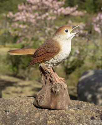 Show full view: Hi-Line Gift 6.38-in Motion Activated Singing Nightingale Standing On Stump Outdoor Decor slide 7 of 9
