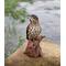 Show in main carousel: Hi-Line Gift 7.68-in Songbird Standing On Stump with Sound Motion Sensor Outdoor Decor slide 5 of 7