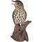 Show in main carousel: Hi-Line Gift 7.68-in Songbird Standing On Stump with Sound Motion Sensor Outdoor Decor slide 2 of 7