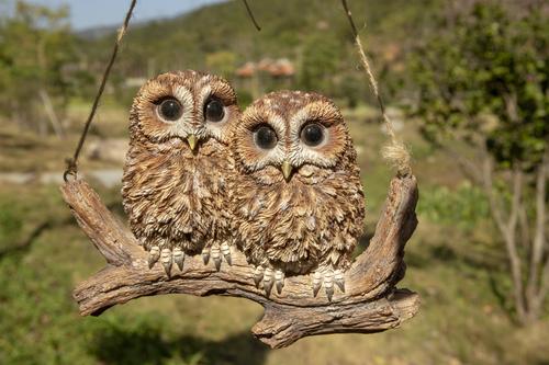 Show full view: Hi-Line Gift 4.72-in Hanging Baby Owlets On A Branch Outdoor Decor slide 6 of 7
