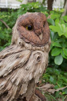 Show full view: Hi-Line Gift 13-in Driftwood Barn Owl On Stump Statue Outdoor Decor slide 6 of 9