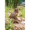 Show in main carousel: Hi-Line Gift 13-in Driftwood Barn Owl On Stump Statue Outdoor Decor slide 8 of 9